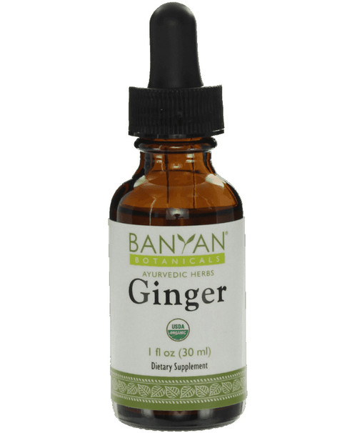 Ginger Liquid Extract 1 ounce