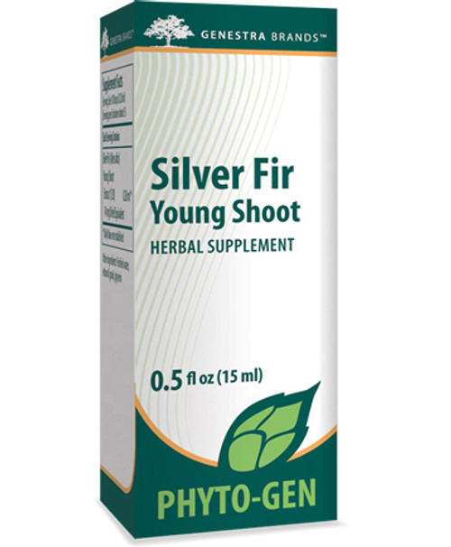 Silver Fir Young Shoot 15