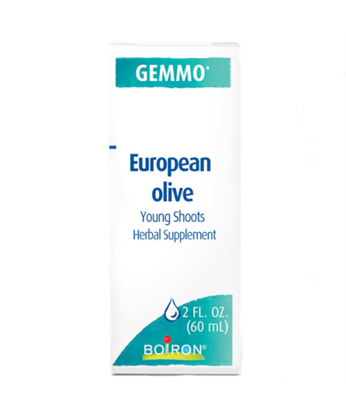 Gemmo European Olive Young Shoots 2 ounce