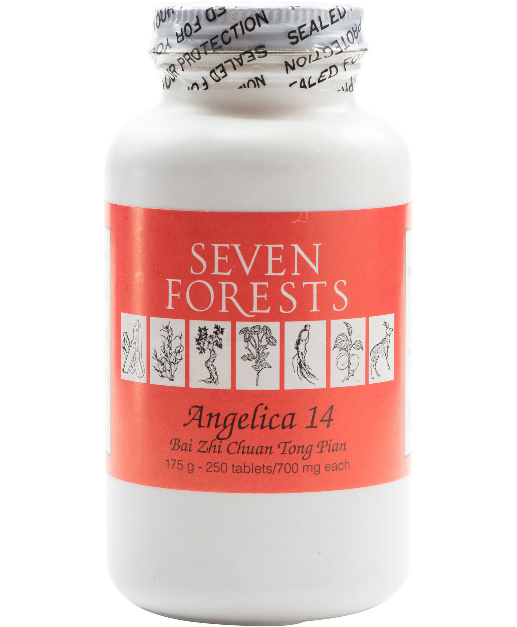 Seven Forests Angelica 14 (Bai Zhi Chuan Tong Pian) 250