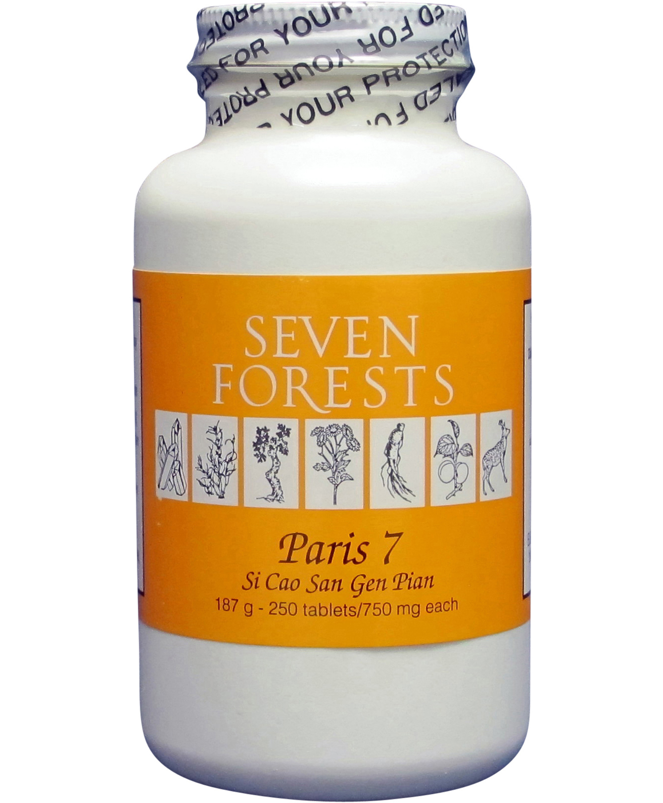 果菜 #Seven Forest Project Building a Fantasy Mixed Bonsai Forest with a Waterfall
