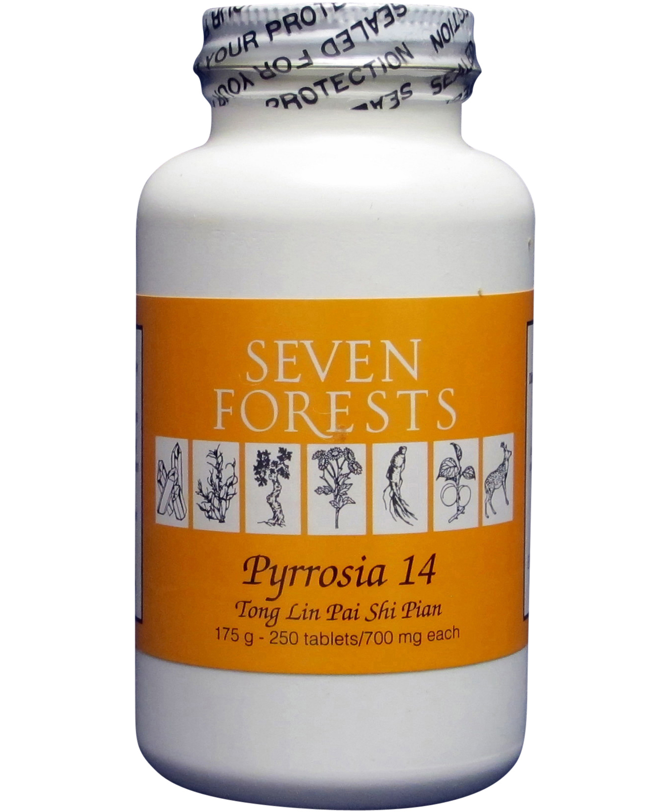 Seven Forests Pyrrosia 14 | Clears Heat, Removes Moisture