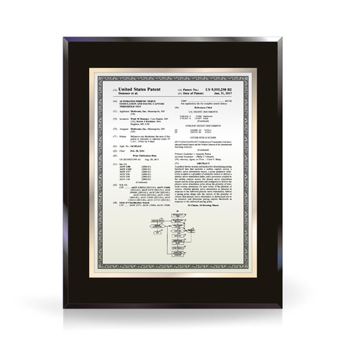 Merit Silver and Gold Black Acrylic Patent Plaque