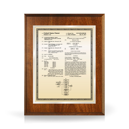 Merit Gold and Silver Solid Walnut Patent Plaque