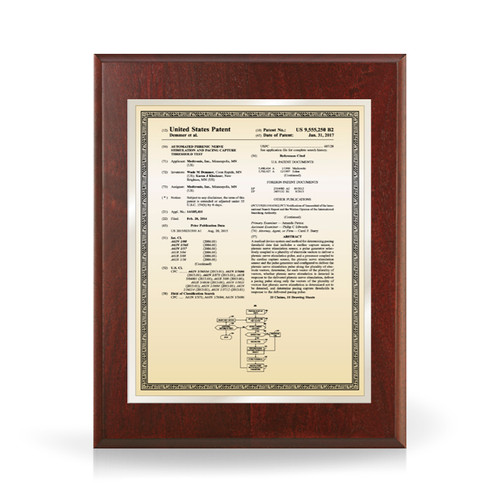 Merit Gold and Silver Mahogany Patent Plaque