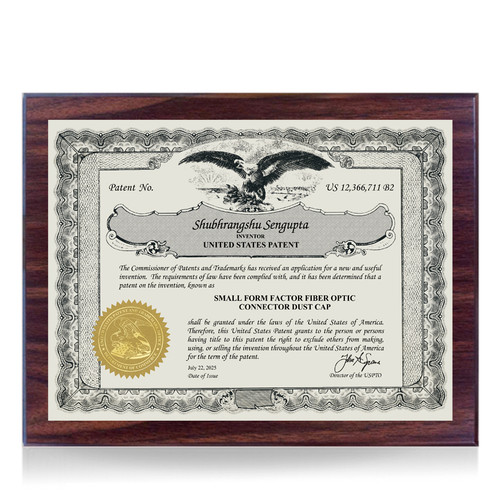 Memento Silver and Walnut Finish Patent Plaque