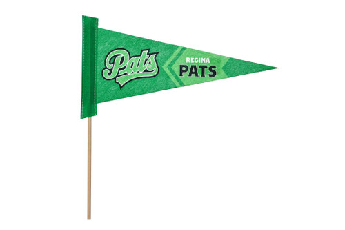 St. Patricks Day Pennant