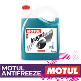 Motul Antifreeze