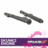 Skunk2 Engine