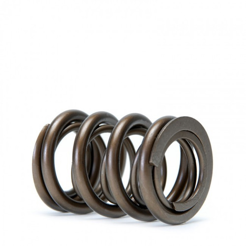 SKUNK2 ALPHA SERIES VALVE SPRING KIT B16 B18