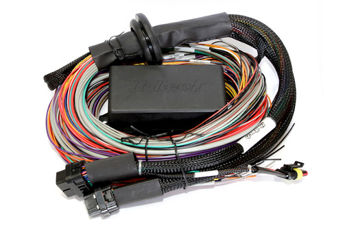 Haltech Elite 2500 T + Premium Universal Wire-in Harness Kit 2.5m