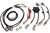 Haltech Wb2 Ntk Dual Channel Can O2 Wideband Kit 1.2m 4ft