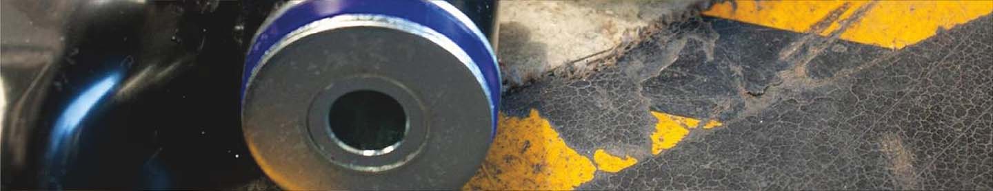 poly bushes 3rd image