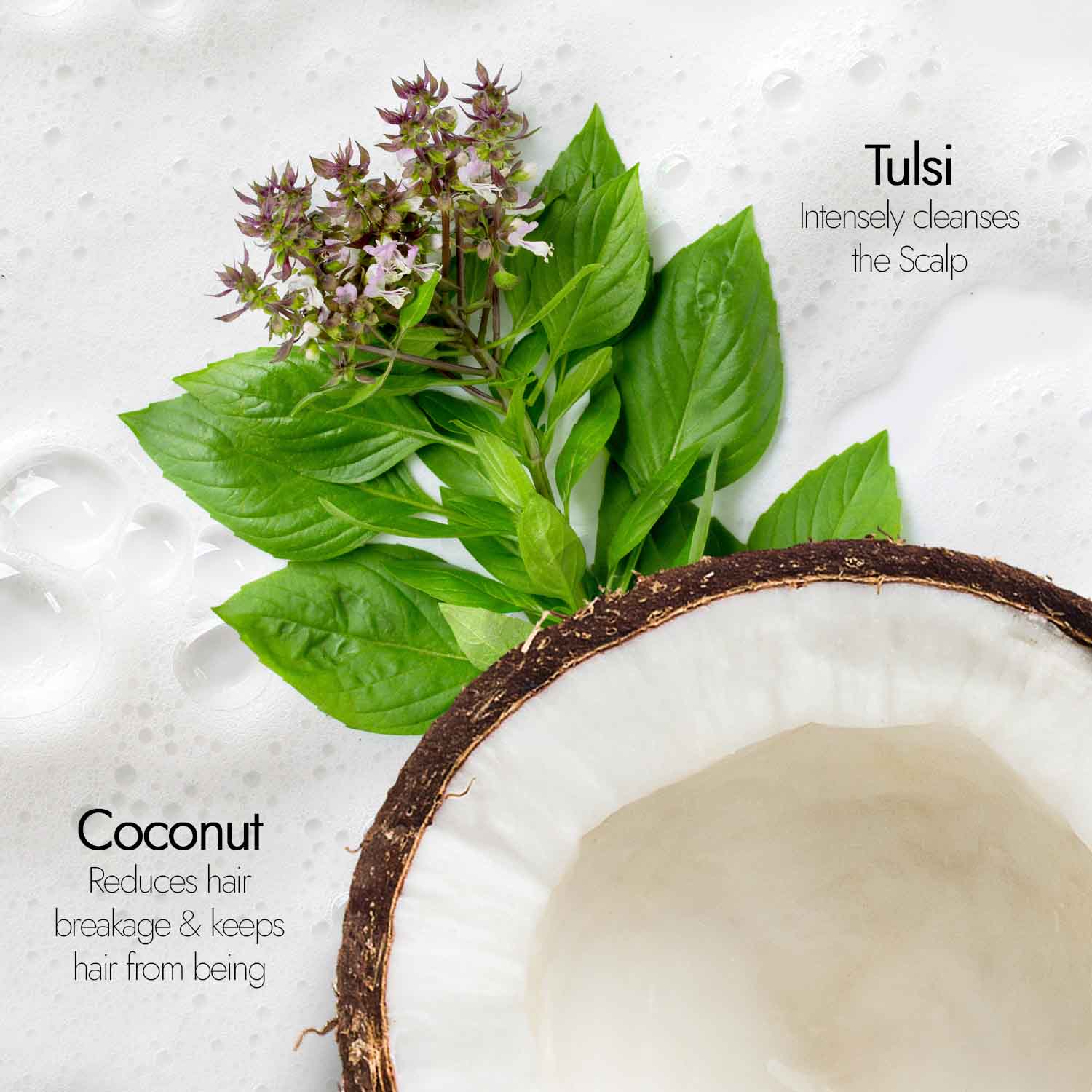 Tulsi Anti Hairfall Shampoo