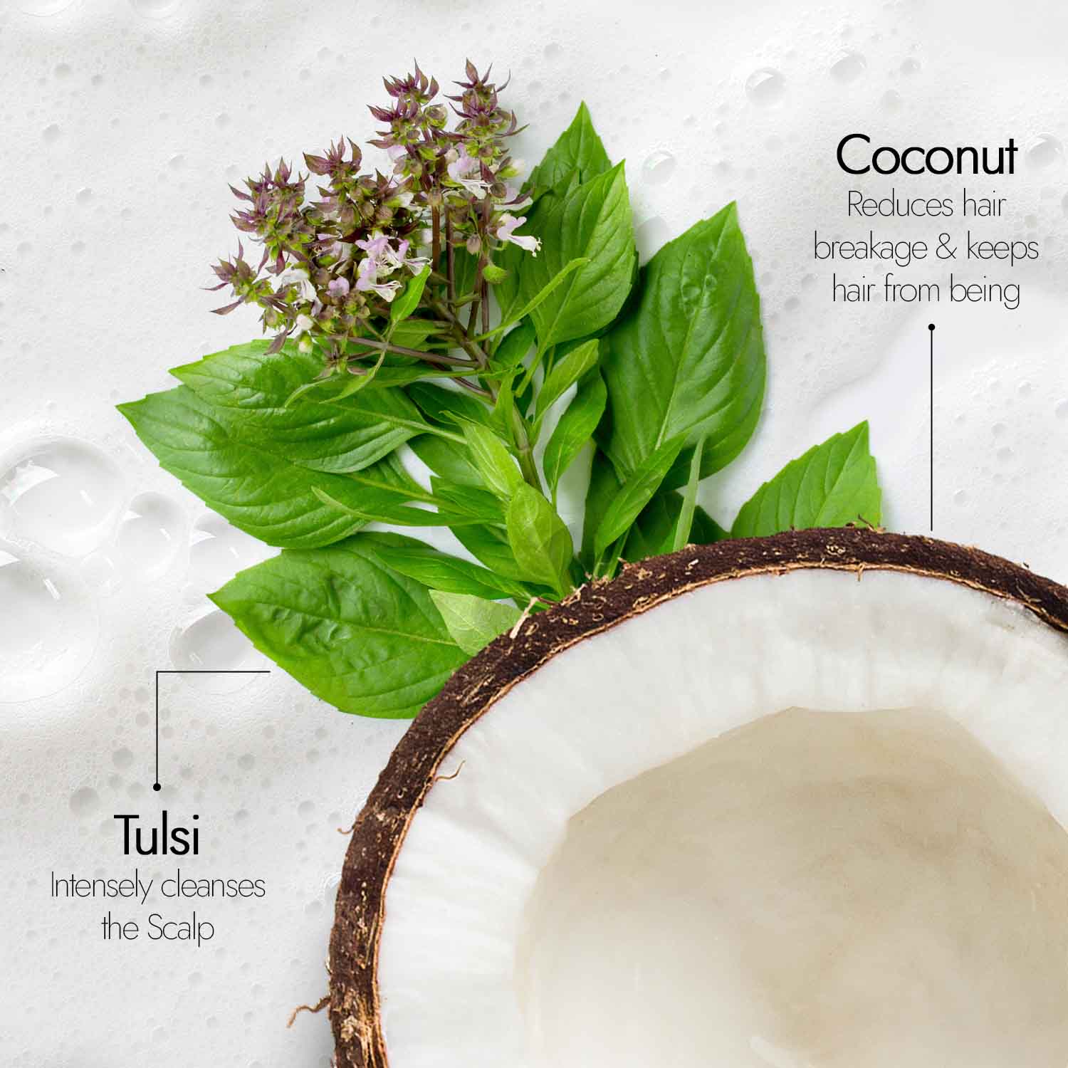 Tulsi Anti Hairfall Shampoo
