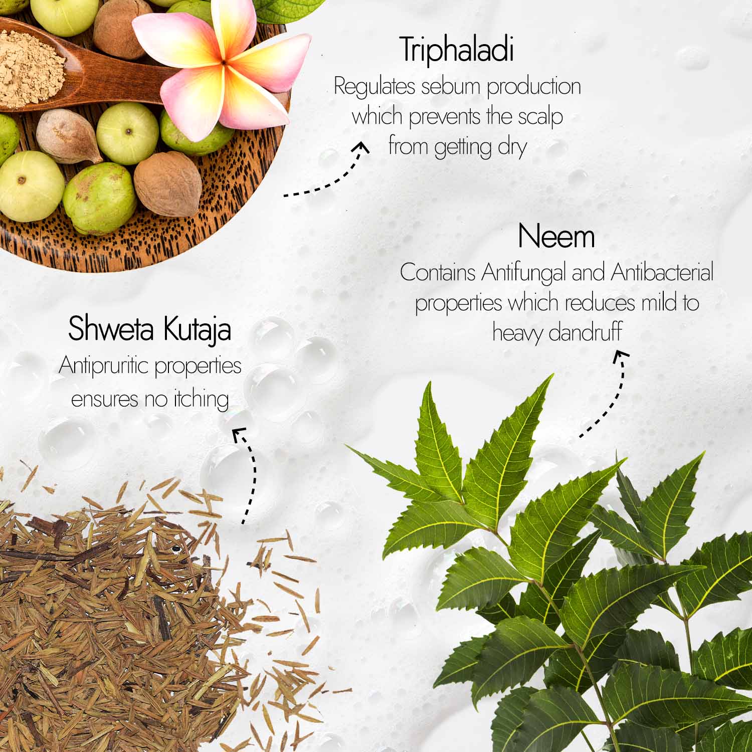 Neem Dandruff Shampoo