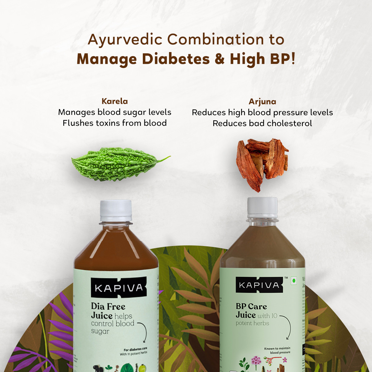 Dia Free Juice & BP Care Juice Combo