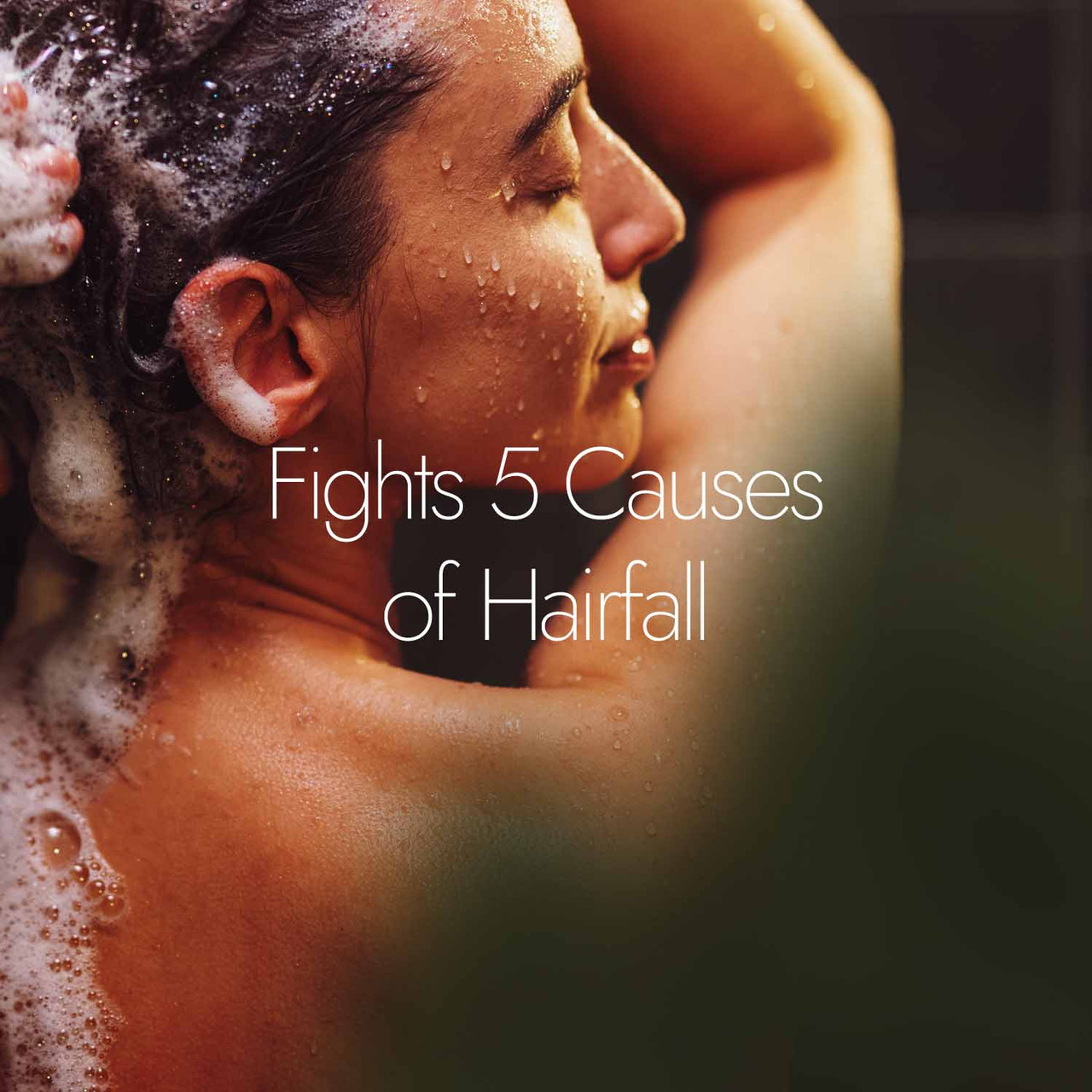 Tulsi Anti Hairfall Shampoo