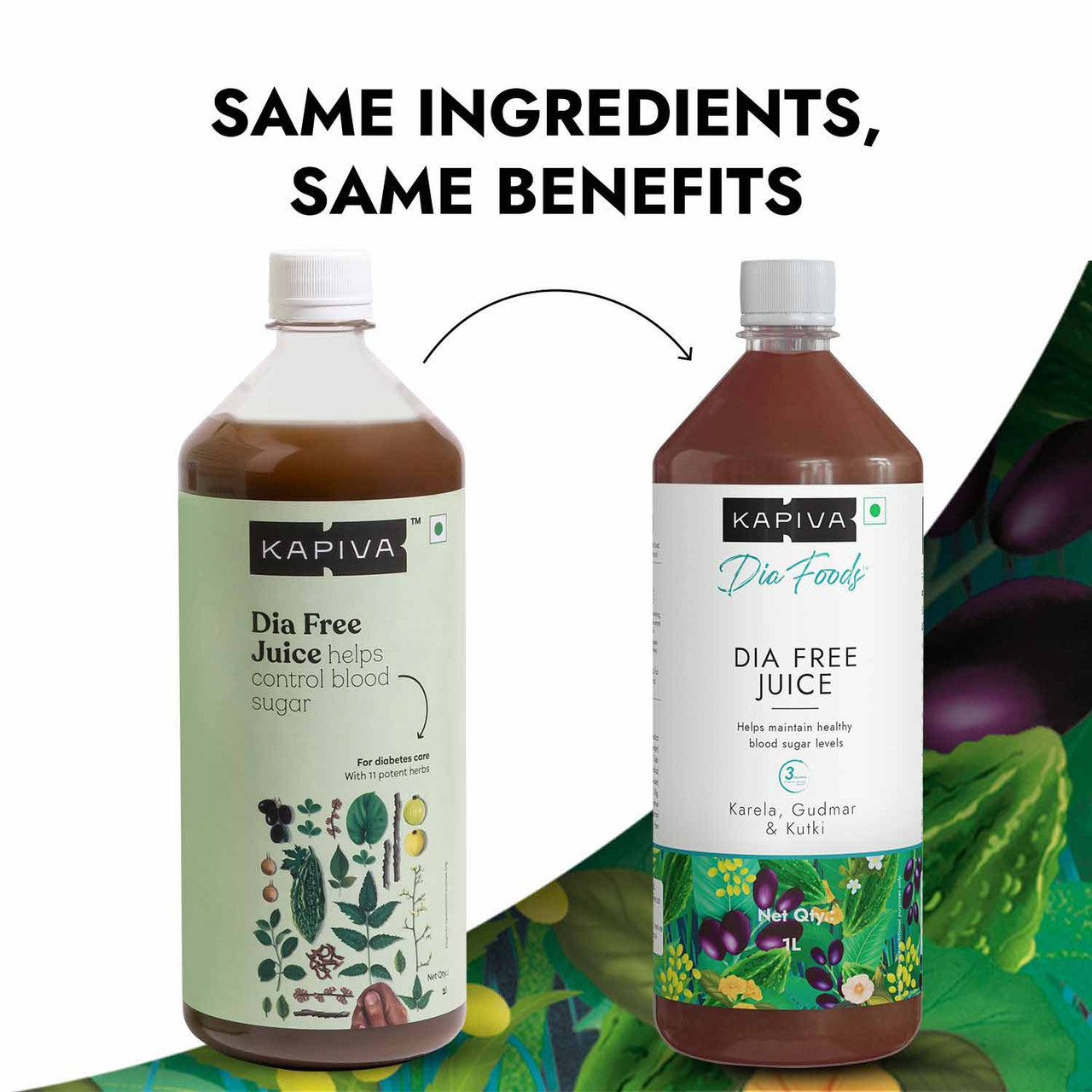 Dia Free Juice | Diabetes Care Program
