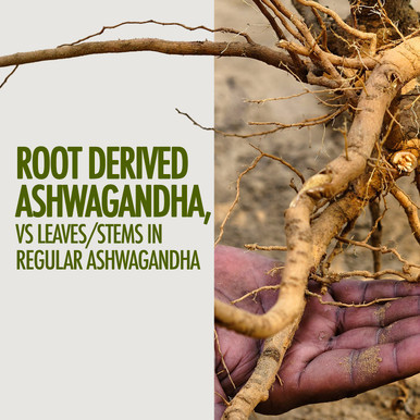 Ashwagandha Sound Sleep Capsules