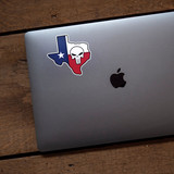 Texas Punisher Sticker