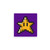 Super Mario Bros Star Sticker