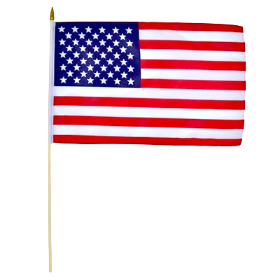 USA SMALL FLAG W/ STICK