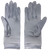 Silver (Back)
