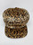 202510-CA ZEBRA
