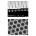 Microfilters for Modular Microfluidic Chips - Darwin Microfluidics