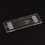 Image of Gradient Generator Chip  - Multiple outlets Fluidic 1287