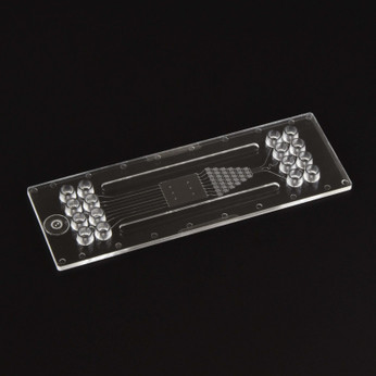 Image of Gradient Generator Chip  - Multiple outlets Fluidic 1287