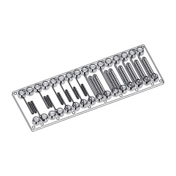 Spheroid Chip - Mini Luer