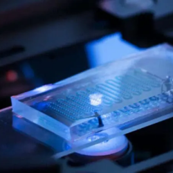 Different flow Controls in Microfluidics