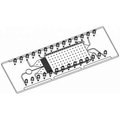 Sample Preparation Chips