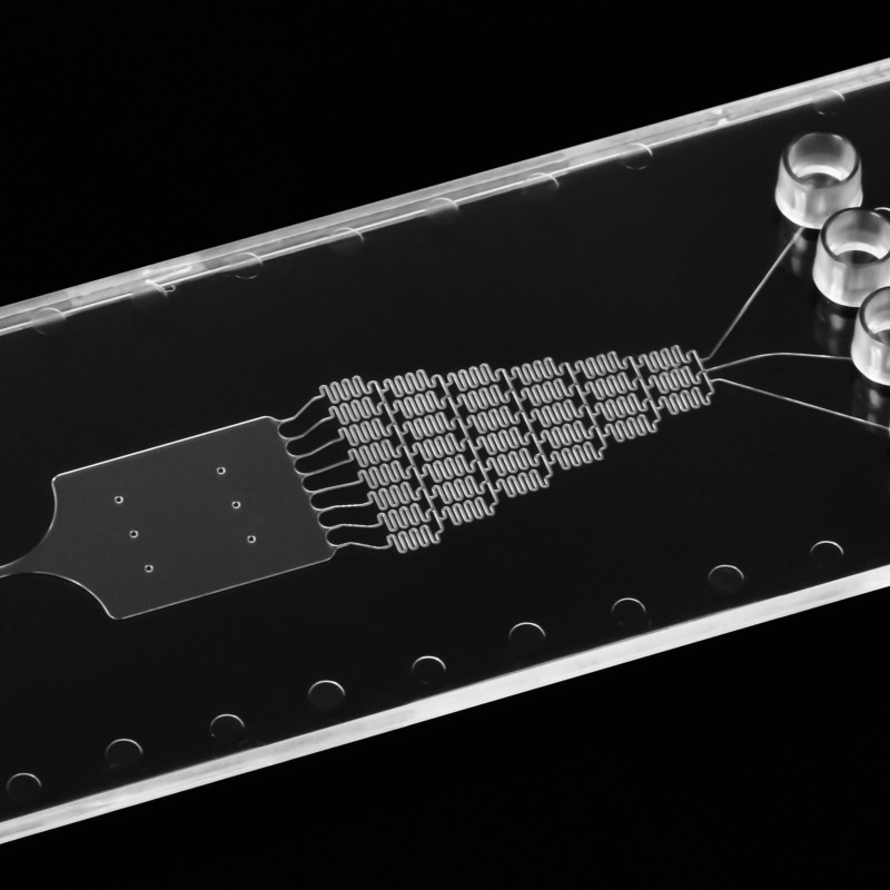 Image of Gradient Generator Chip
