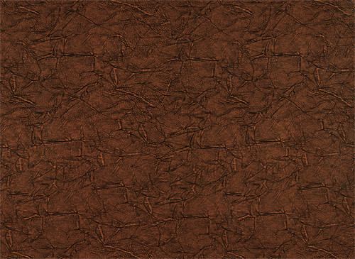LEATHER IE 029 (P)