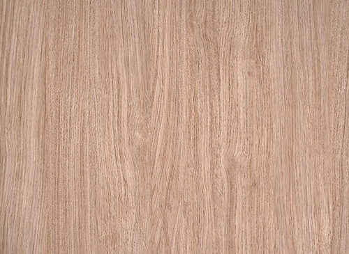 TEXTURE SOFT MATT TSM 831 (S)