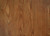 WOOD IPW 837 (P)