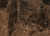 MARBLE IP 402 (P)
