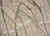 MARBLE IP 413-6 (P)