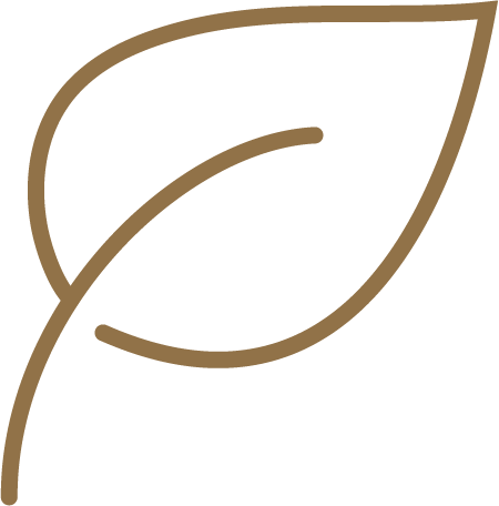 Sustainable Choice Icon