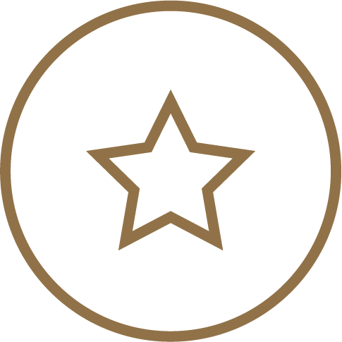 30+ Years of Innovation Icon