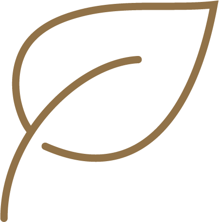 Sustainable Choice Icon