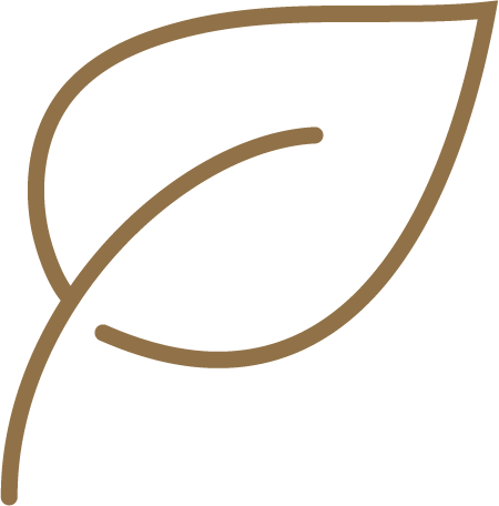 Sustainable Choice Icon