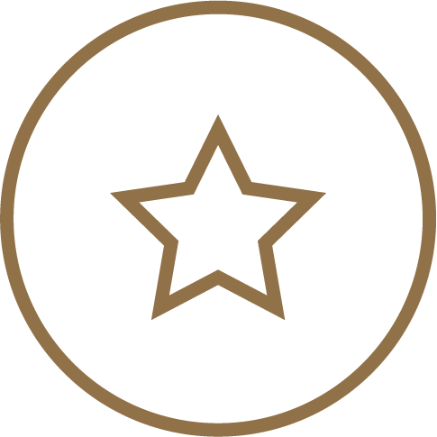 30+ Years of Innovation Icon
