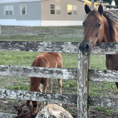 Glimpse Of Our Ranch