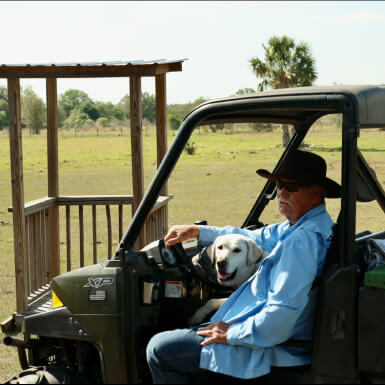 Glimpse Of Our Ranch