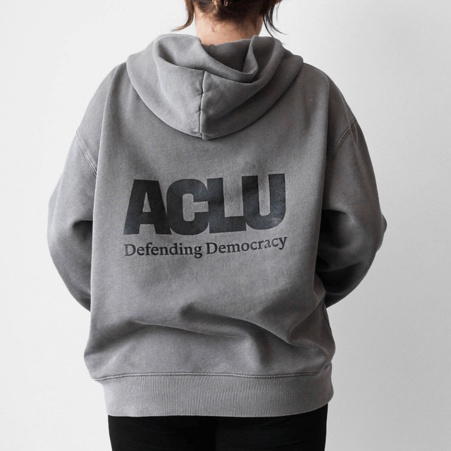Defending Democracy Zip Hoodie