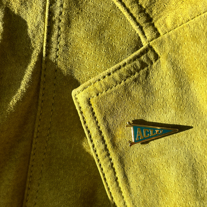 ACLU Pennant Pin